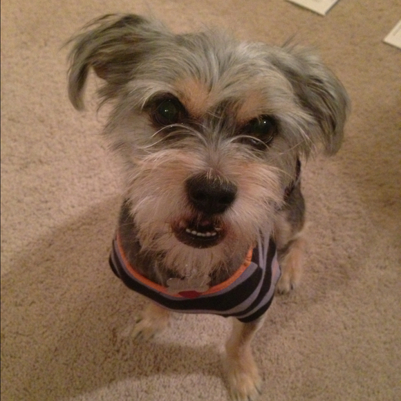 Profile Picture of Risca Magtibay (@ram_rn) on Poshmark