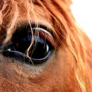 Profile Picture of Cora Weber (@cora.weber.96) on Facebook