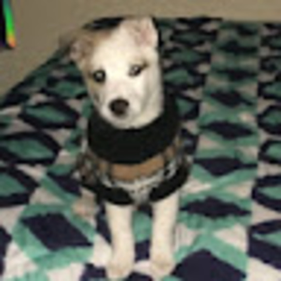 Profile Picture of Rihanna Barboa (@rihannabarboa) on Poshmark