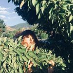 CORIE MCDANIEL - Instagram Profile Picture of CORIE MCDANIEL (@corie.mc) on Instagram