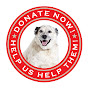 Profile Picture of Companion Animal Protection Society (@@all4caps) on Tiktok