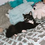 Profile Picture of Miley Davis (@mileybug03) on Instagram