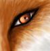 Profile Picture of Joel Angel Furr (Joel Fox) (@joelangel.furr) on Facebook