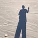 Profile Picture of Rose Mattos (@rosery) on Pinterest