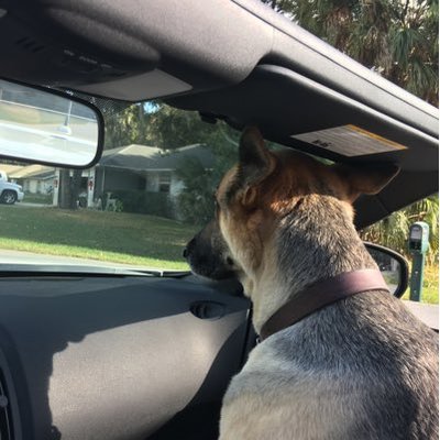 Profile Picture of Michael (@phaneuf_michael) on Twitter