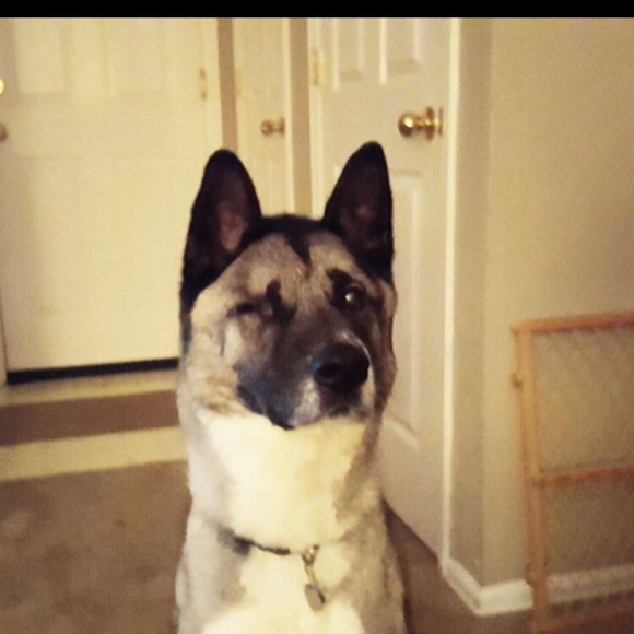 Profile Picture of Noah Breitner (@baseball17_19) on Poshmark