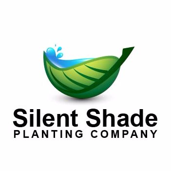 Profile Picture of SilentShadePlanting (@SSPCJeremy) on Twitter