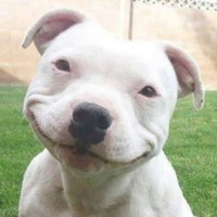 Profile Picture of Roy Paulo Daria (@roy-paulo-daria) on Quora