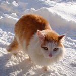 Profile Picture of ZARAGOZA ANDREW (@zaragoza35yvan) on Instagram