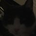 Profile Picture of Duncan Mcgookin (@duncan.mcgookin.1) on Facebook