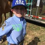 Chrystal Hall - Instagram Profile Picture of Chrystal Hall (@tivohall) on Instagram