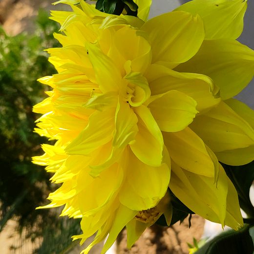 Profile Picture of Kevin Poulsen (@kevin__poulsen) on Tiktok