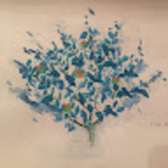 Profile Picture of Elif Celikors (@elifcelikors) on Poshmark