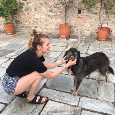 Profile Picture of Hannah FitzSimons (@fitzhannah) on Twitter