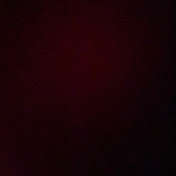 Profile Picture of Robin Gaugler (@RobinGaugler) on Youtube