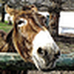 Profile Picture of Stephan Van Vuuren (@STEPHAN130) on Flickr