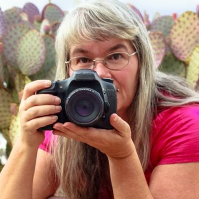 Profile Picture of Anne Carleton Molstad (@ACM_Turtlechaos) on Twitter