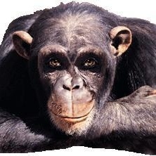 Profile Picture of John Sumrall (@192254822) on Myspace