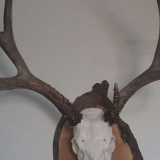 Kevin Hubbard - Facebook Profile Picture of Kevin Hubbard (@kevin.hubbard.1829) on Facebook