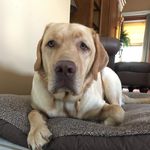 Profile Picture of Brian Sankey (@sankey.brian) on Instagram