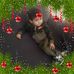 Profile Picture of Sigifredo Gonzalez (@sigifredo.gonzalez.167) on Facebook