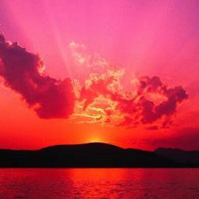 Profile Picture of Cassandra Carney (@lovecats1210) on Twitter