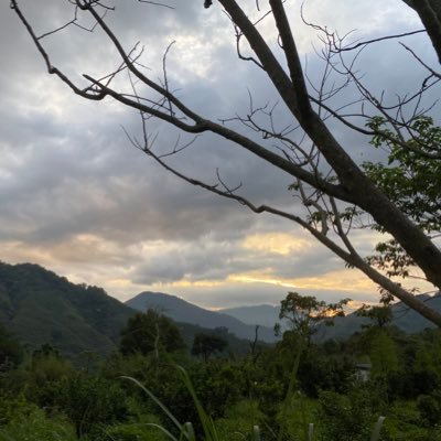 Profile Picture of ChaoTung (@ChaoTungYang) on Twitter