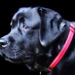 Profile Picture of RalphTaylor (@ralphtaylorabdn) on Instagram