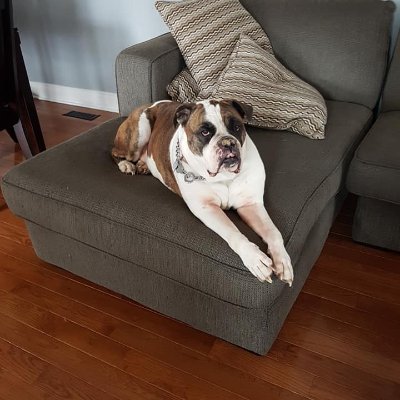 Profile Picture of Donna Clark (@DonnaClark01) on Twitter