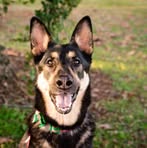 Profile Picture of Crystal Lashinski (@crystal.lashinski) on Facebook