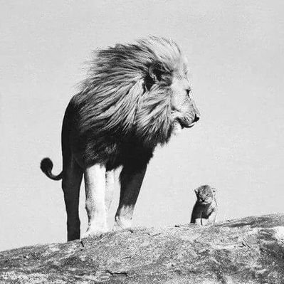 Profile Picture of Humberto Quiñones (@HumbertoHQ21) on Twitter