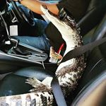 Profile Picture of _daniel_gofman (@_daniel_gofman) on Instagram