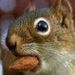 Profile Picture of Colin Kirkpatrick (@colinpkirkpatrick) on Pinterest