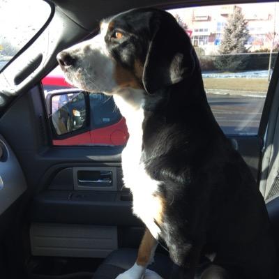 Profile Picture of Colin Kirby (@colin_kirby) on Twitter