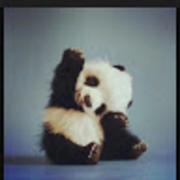 Profile Picture of Ciahni Marreiros (@ciahnimarreiros) on Poshmark