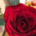 Profile Picture of Amanda Marett (selling page) (@amanda.marett.146) on Facebook