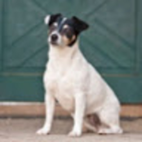 Profile Picture of Kale Mihok (@kmmihok72010) on Poshmark