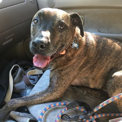 Profile Picture of Jennifer Keil (@JenniferKeil5) on Twitter