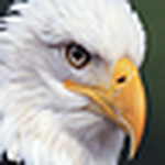 Profile Picture of Stevie Smith (@Stevie's Photo) on Flickr