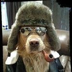 Profile Picture of Chris Laino (@fear_sence) on Instagram