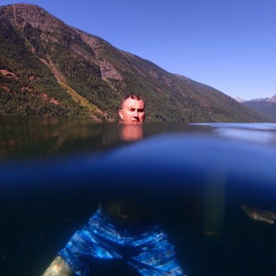 Profile Picture of PatLowney (@PatLowney) on Twitter