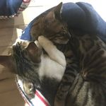 Saori Nishimura(Inugai) - Instagram Profile Picture of Saori Nishimura(Inugai) (@sao_ri_46) on Instagram