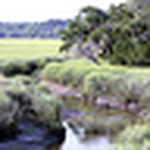 Profile Picture of William Parker (@w m parker) on Flickr