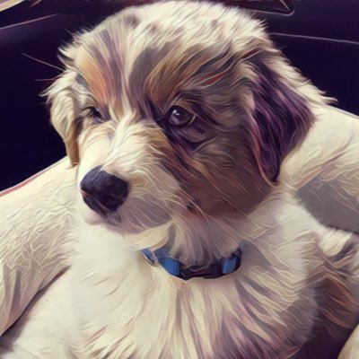 Profile Picture of Bryce Travis (@btravis08) on Twitter