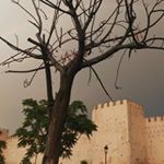 Profile Picture of شيـماء،||🇱🇾🇲🇦 (@shaima_zreinik) on Instagram