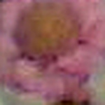 Profile Picture of Nabia Mhamdi (@nabiat) on Flickr