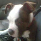 Profile Picture of Michael Fabbro (@michael_fabbro22) on Instagram