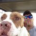 Profile Picture of Travis Chamberlain (@travisc136) on Pinterest