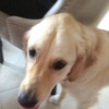 Profile Picture of cooper collins (@@littlemisscooper) on Tiktok