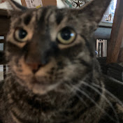 Profile Picture of Chad Snodgrass (@txflyboy35) on Youtube